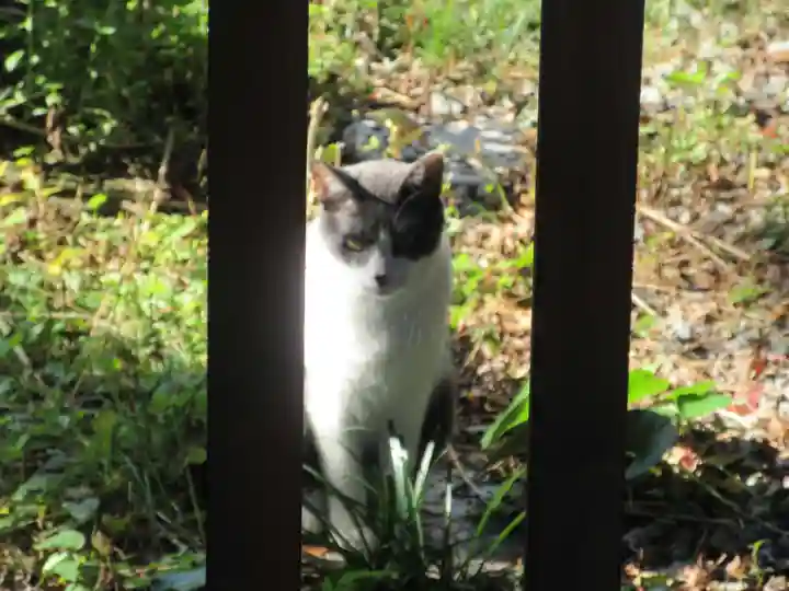 泉野菅原神社(石川県)