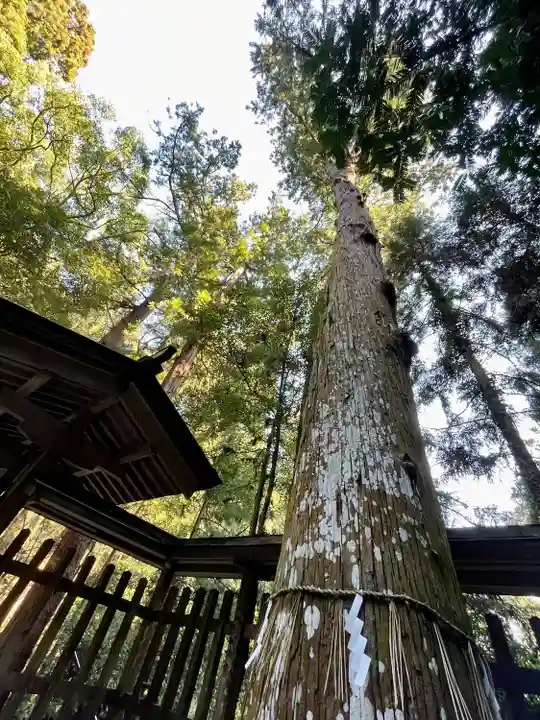 伊野天照皇大神宮(福岡県)