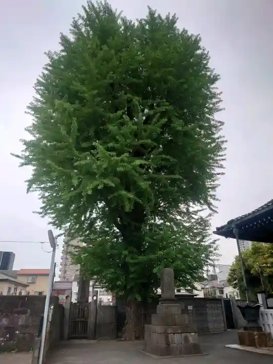 法禅寺の{uncategorized: "未分類", other: "その他", undefined: "問題あり", building: "その他建物", grave: "お墓", sacred_gate: "鳥居", guardian: "狛犬", statue: "像", buddha: "仏像", history: "歴史", nature: "自然", garden: "庭園", animal: "動物", pagoda: "塔", temizu: "手水舎", mountain_gate: "山門・神門", sanctuary: "本殿・本堂", subordinate: "末社・摂社", art: "芸術", scenery: "景色", jizo: "地蔵", ema: "絵馬", goshuin: "御朱印", omikuji: "おみくじ", items: "授与品その他", amulet: "お守り", goshuincho: "御朱印帳", eats: "食事", festival: "お祭り", votive_dance: "神楽", shichigosan: "七五三参", wedding: "結婚式", experience: "体験その他", initially: "初詣", around: "周辺", anti_infection: "感染症対策"}