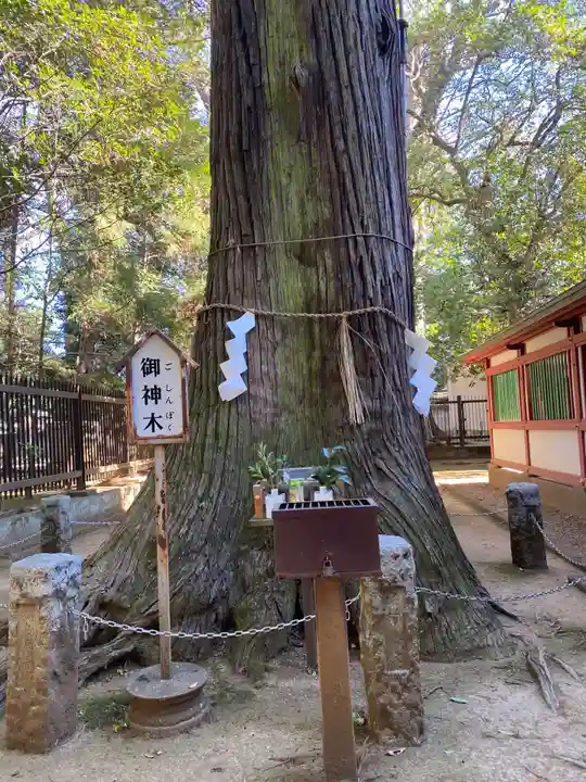 一言主神社(茨城県)