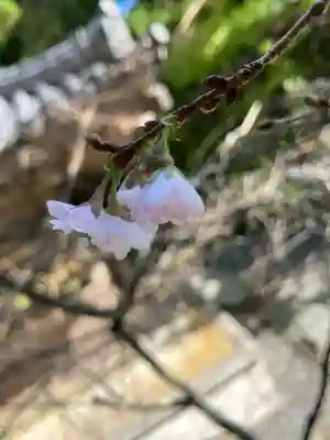 播州清水寺(兵庫県)