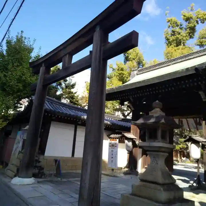白峯神宮の{uncategorized: "未分類", other: "その他", undefined: "問題あり", building: "その他建物", grave: "お墓", sacred_gate: "鳥居", guardian: "狛犬", statue: "像", buddha: "仏像", history: "歴史", nature: "自然", garden: "庭園", animal: "動物", pagoda: "塔", temizu: "手水舎", mountain_gate: "山門・神門", sanctuary: "本殿・本堂", subordinate: "末社・摂社", art: "芸術", scenery: "景色", jizo: "地蔵", ema: "絵馬", goshuin: "御朱印", omikuji: "おみくじ", items: "授与品その他", amulet: "お守り", goshuincho: "御朱印帳", eats: "食事", festival: "お祭り", votive_dance: "神楽", shichigosan: "七五三参", wedding: "結婚式", experience: "体験その他", initially: "初詣", around: "周辺", anti_infection: "感染症対策"}