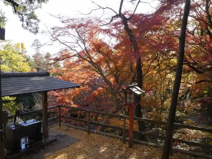 明王院(満願寺別院)の自然