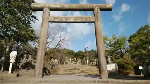 南洲神社の鳥居