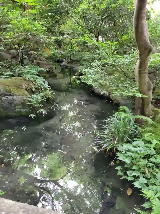 光明寺瑠璃光院(京都府)