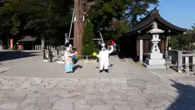吉備津彦神社の狛犬