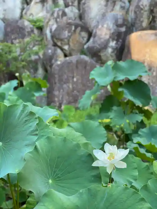 観音正寺(滋賀県)