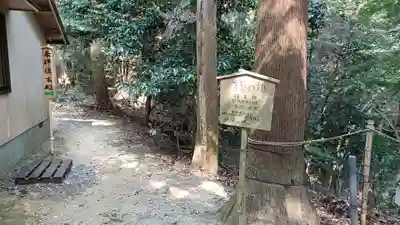 伊射波神社の自然