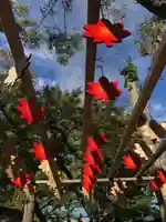 温泉神社〜いわき湯本温泉〜(福島県)