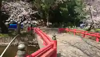 氷川女體神社の周辺