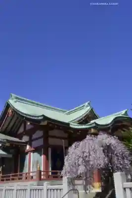 千住神社(東京都)