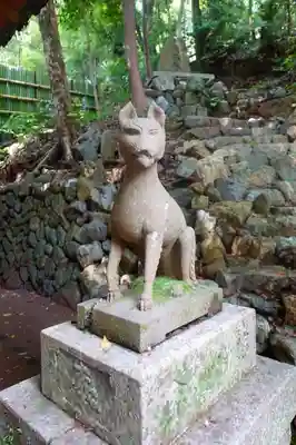 宇治上神社の狛犬