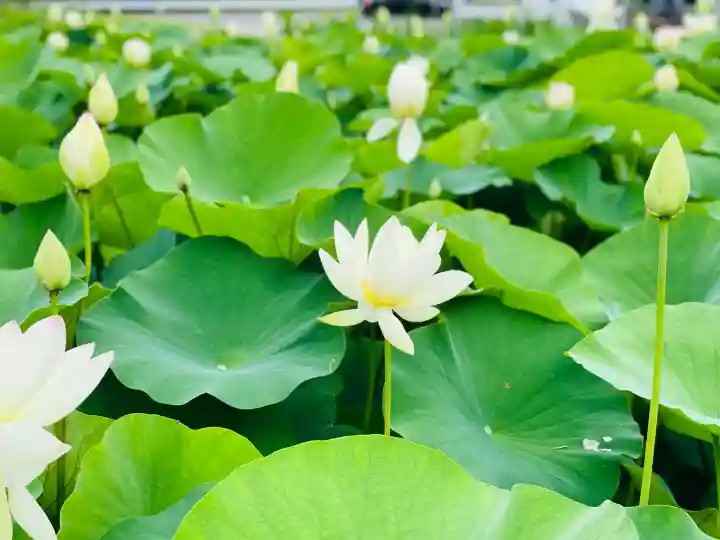 常信寺(三重県)