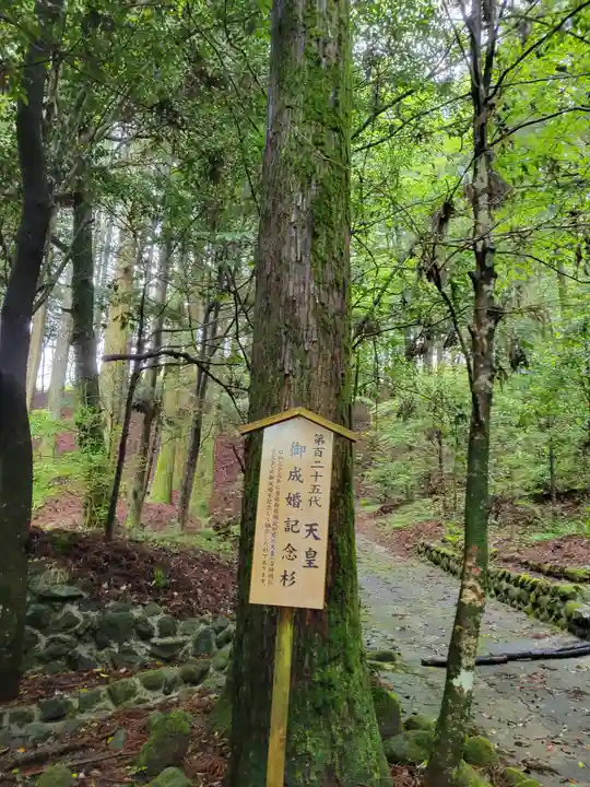 白鳥神社(宮崎県)