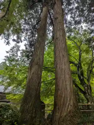 中尊寺金色堂(岩手県)