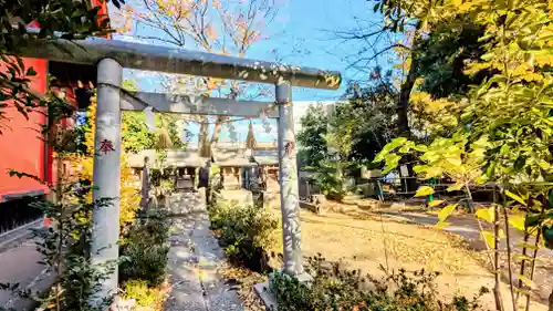 今井神社の鳥居