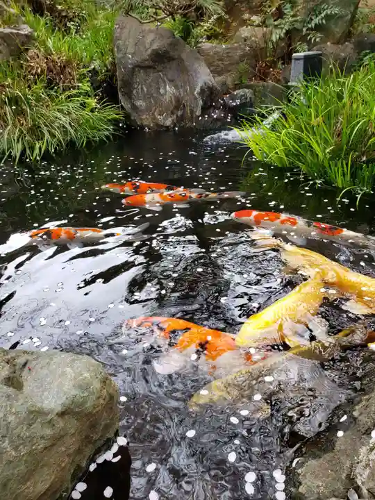 東光寺(東京都)