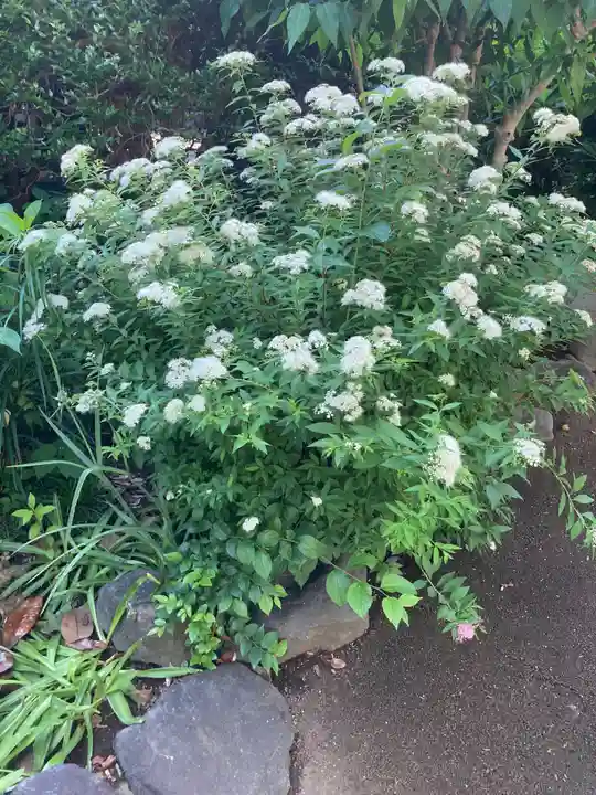 安楽寺(神奈川県)