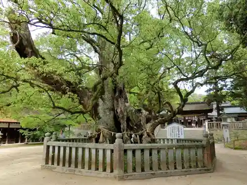 大山祇神社のその他建物