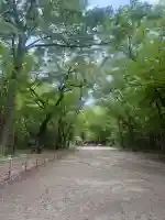 賀茂御祖神社(下鴨神社)の{uncategorized: "未分類", other: "その他", undefined: "問題あり", building: "その他建物", grave: "お墓", sacred_gate: "鳥居", guardian: "狛犬", statue: "像", buddha: "仏像", history: "歴史", nature: "自然", garden: "庭園", animal: "動物", pagoda: "塔", temizu: "手水舎", mountain_gate: "山門・神門", sanctuary: "本殿・本堂", subordinate: "末社・摂社", art: "芸術", scenery: "景色", jizo: "地蔵", ema: "絵馬", goshuin: "御朱印", omikuji: "おみくじ", items: "授与品その他", amulet: "お守り", goshuincho: "御朱印帳", eats: "食事", festival: "お祭り", votive_dance: "神楽", shichigosan: "七五三参", wedding: "結婚式", experience: "体験その他", initially: "初詣", around: "周辺", anti_infection: "感染症対策"}