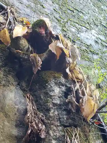 大滝観音(富山県)