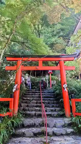 貴船神社(京都府)