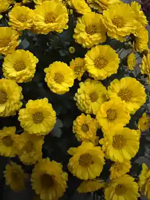 大宮温泉神社(栃木県)