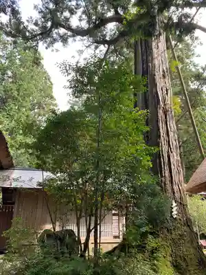 元伊勢内宮 皇大神社(京都府)