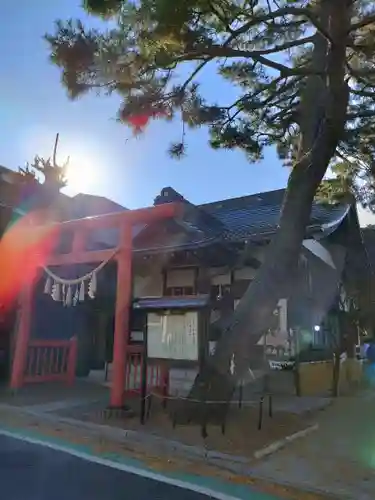 猿田彦神社(東京都)