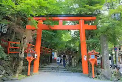 貴船神社の鳥居
