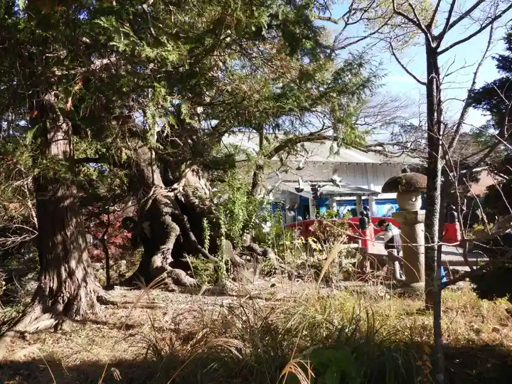 静岡浅間神社(静岡県)