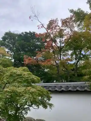 満願寺(兵庫県)