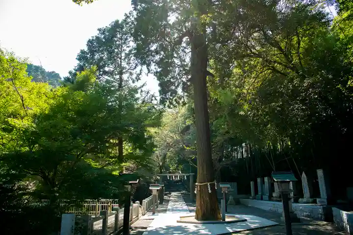 石鎚神社 口之宮 本社のその他建物