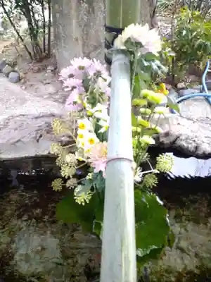 阿智神社の手水舎