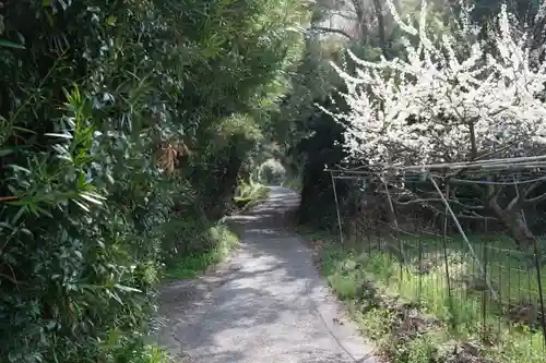 藤白神社の自然