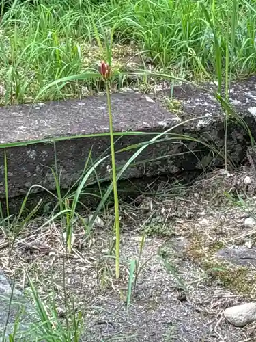 鶴林寺(石川県)