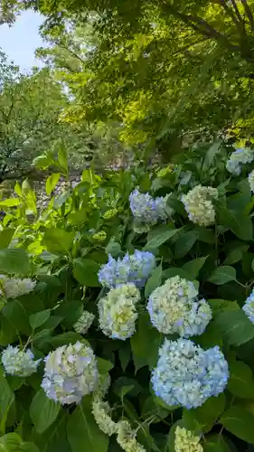 豊國神社(大阪府)