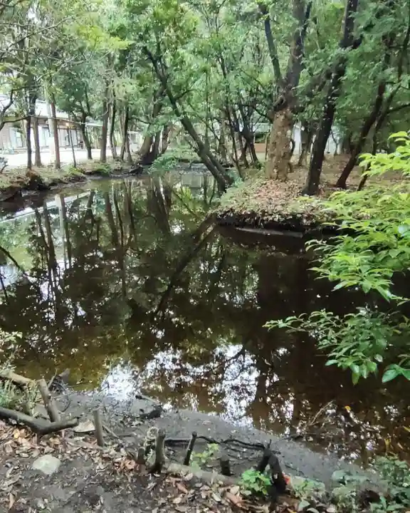 諏訪八幡神社の庭園