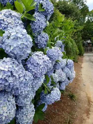 男女神社の自然