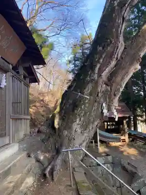 今宮神社(山梨県)