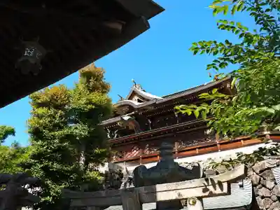 石清尾八幡宮の本殿・本堂
