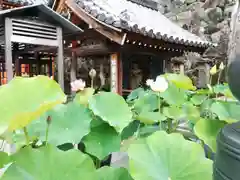 中山寺の建物その他