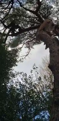 下高井戸八幡神社(東京都)
