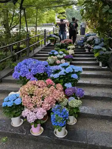 岡寺（龍蓋寺）(奈良県)