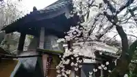 長建寺のその他建物