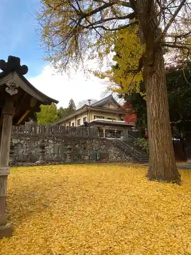 仙台東照宮の自然