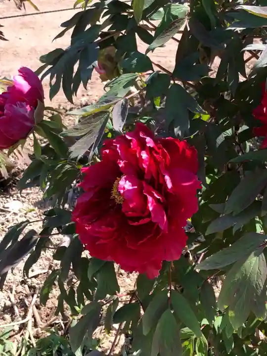 金蛇水神社の自然