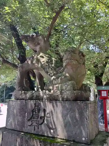 鷲宮神社の狛犬