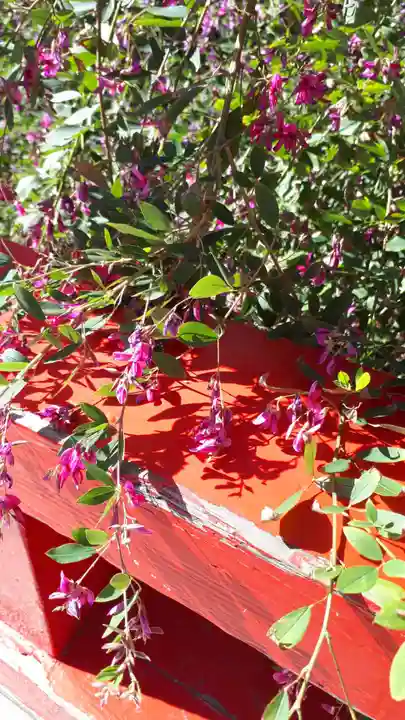 瑞巌寺五大堂(宮城県)