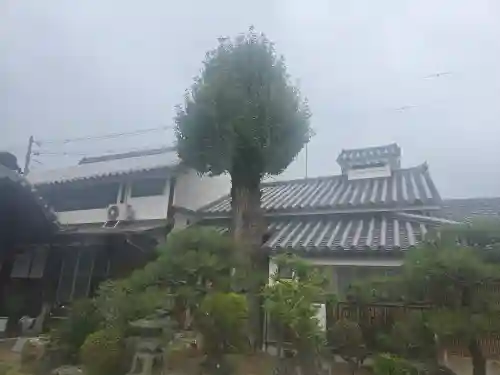 富田林興正寺別院(大阪府)